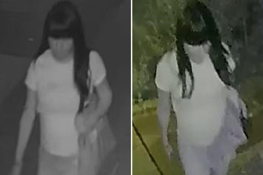 Police searching for creep who raped boy, 15, in back of NYC home