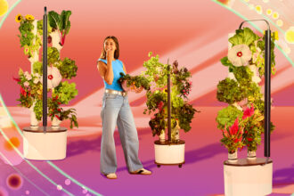 Fed Up With Lettuce Recalls, I Started Growing Greens in This Smart Garden