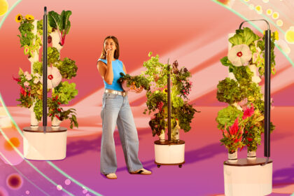 Fed Up With Lettuce Recalls, I Started Growing Greens in This Smart Garden