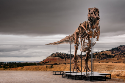 Massive T. rex fossil roars to  million sale, becoming one of the priciest ever auctioned
