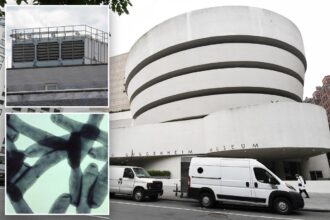 Mamdani insists NYC Legionnaires’ outbreak is under control as death toll climbs to 5, with 82 infected