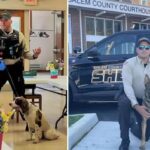 NJ cop in charge of K-9 unit charged after leaving two police dogs to die in hot car for 7 hours: report