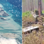 Beloved musicians among victims in deadly Bahamas plane crash; aviation authority grounds flights