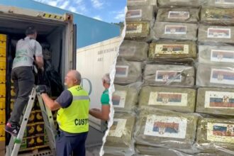 0M cocaine haul found ‘skillfully concealed’ in massive banana shipment