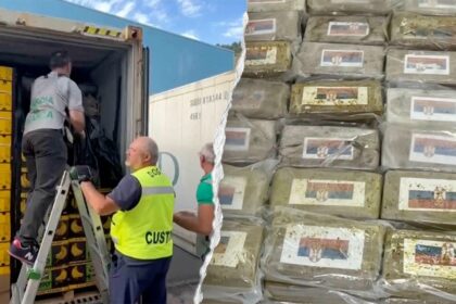 0M cocaine haul found ‘skillfully concealed’ in massive banana shipment
