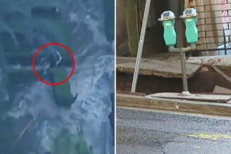 Terrifying moment woman swept away by powerful water torrent — as two men plunge into sinkhole in LA