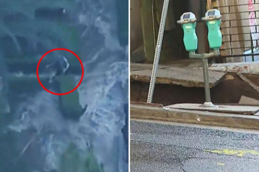 Terrifying moment woman swept away by powerful water torrent — as two men plunge into sinkhole in LA