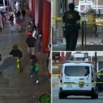 Mass stabbing rocks California city as five people rushed to hospital