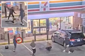 Wild video shows six brutes beat up 74-year-old in 7-Eleven parking lot