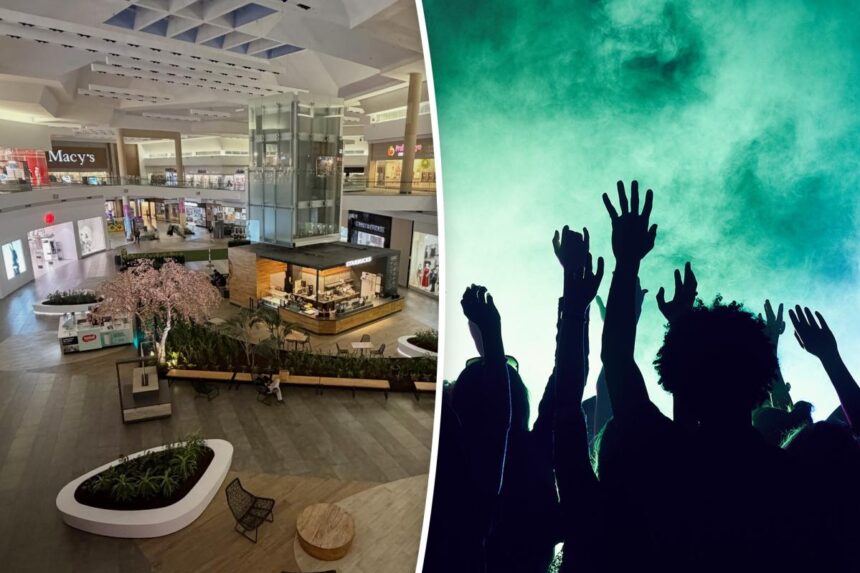 San Jose mall to host wild overnight rave with secret DJ lineup