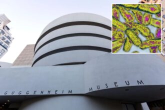 Guggenheim Museum among 31 NYC buildings infected with Legionnaires bacteria