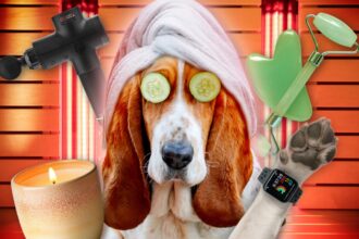 Exclusive | Meet the pet owners spending thousands of dollars on doggy wellness — from 0 red light therapy to 0 PEMF beds