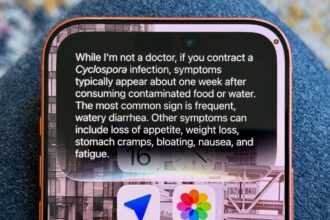 Siri AI Helped Me Avoid Eating Diarrhea Lettuce