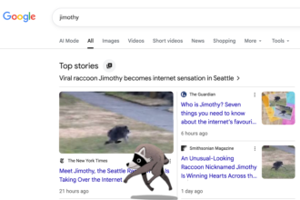 Jimothy, the Viral Raccoon, Scurries Across Your Screen in Google Animation