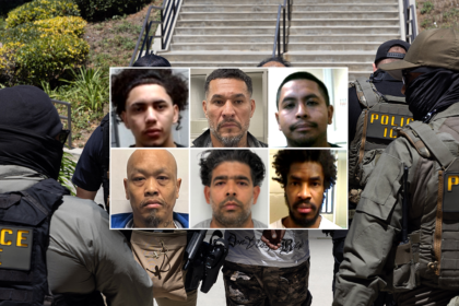 FIRST ON FOX: DHS points to ‘common sense’ reason for collapsing crime: ‘No surprise’