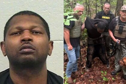 Bloodhound K-9 unit helps bring Georgia manhunt to end with arrest of suspect accused of shooting woman