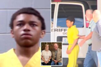 Teen handyman accused of killing ‘sweetest’ elderly couple was well-known ‘troubled juvenile’ suspected of other crimes: cops