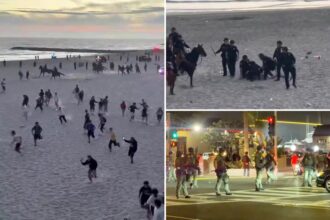 Half of the Newport Beach 4th of July rioters called this surprising location home