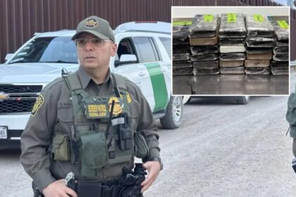Texas border officers crack open cabbage shipment, uncover .8M worth of cocaine