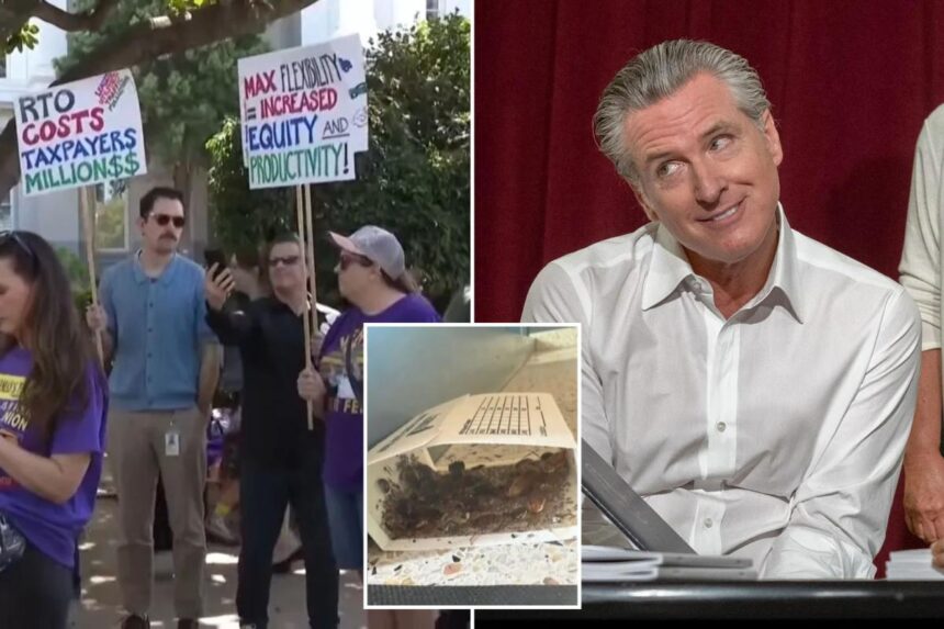 Gavin Newsom’s return to work order hits major snag as workers make truly disgusting discovery in offices