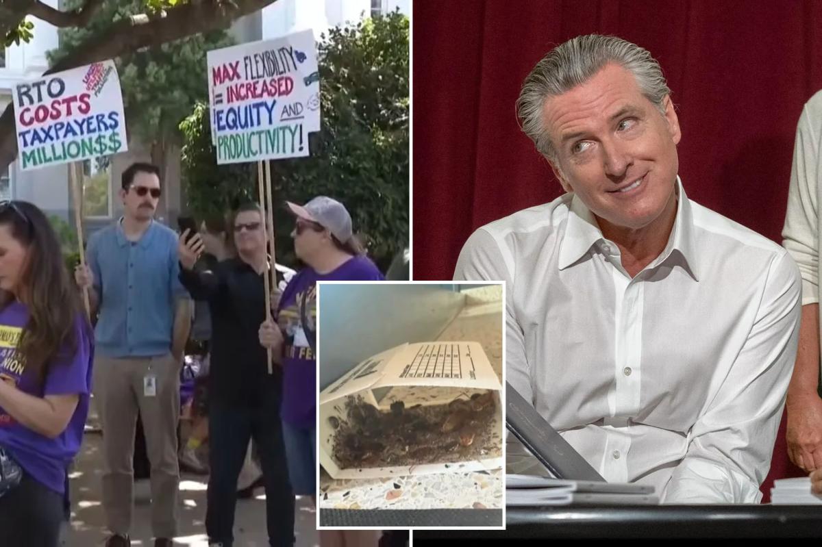 Gavin Newsom’s return to work order hits major snag as workers make truly disgusting discovery in offices