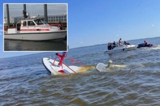 Whale strikes, sinks NJ fire rescue ship returning from NY Harbor after July 4th festivities