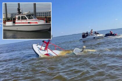Whale strikes, sinks NJ fire rescue ship returning from NY Harbor after July 4th festivities