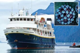 National Geographic Sea Bird cruise ship hit with 3rd norovirus outbreak since May