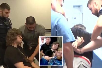 Kansas high school teacher dragged out, arrested for clapping at city meeting over proposed data center