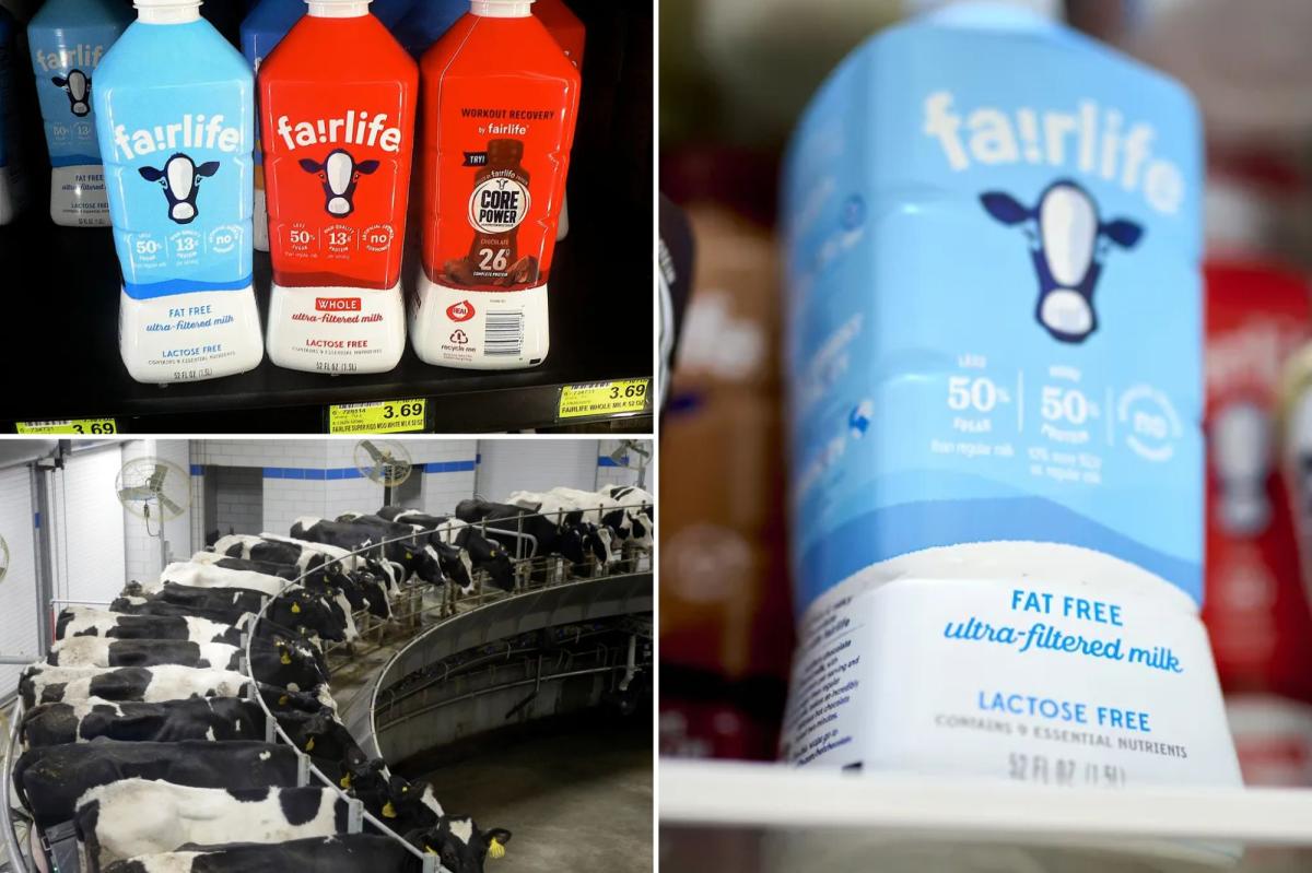 Coca-Cola’s milk brand halts US production after ‘unauthorized access’ breach