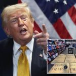 Trump torches ‘stupid,’ ‘communist’ Dems, ‘ignorant’ media — after he subpoenas NY Times