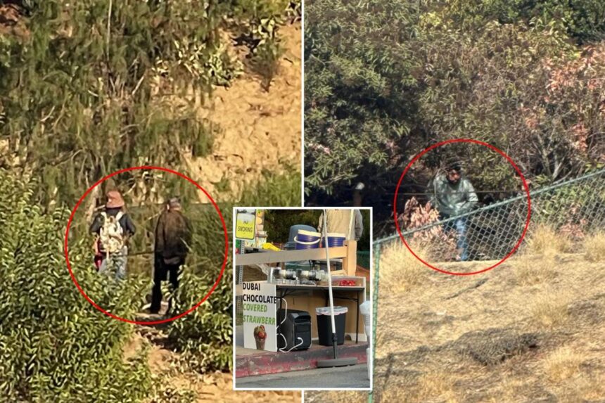 Exclusive | Lake Hollywood Park rocked by wave of truly disgusting acts — before food is served