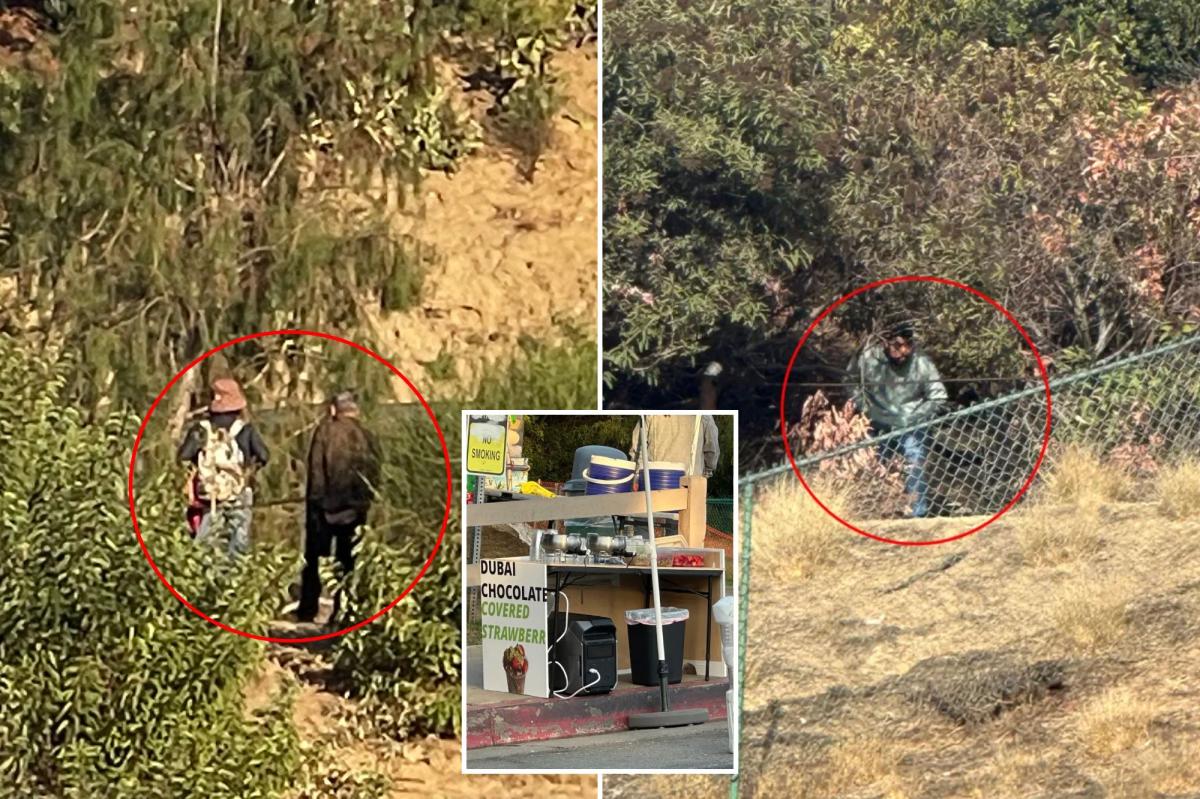 Exclusive | Lake Hollywood Park rocked by wave of truly disgusting acts — before food is served
