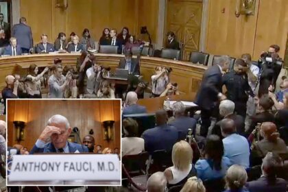 Sen. Rand Paul has Fauci’s attorney thrown out of hearing
