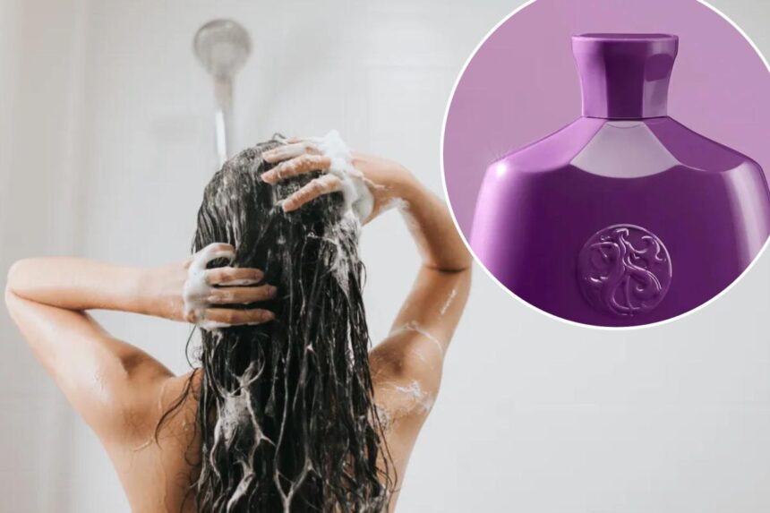 Luxury 6 shampoo recalled throughout US, Canada over risk of dangerous bacterial infection