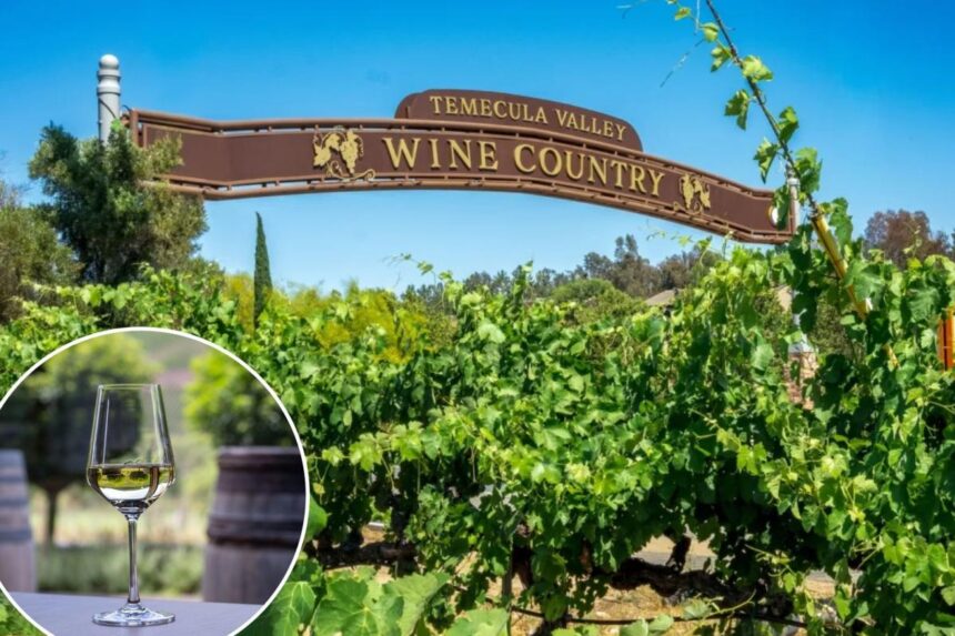Winery just 90 minutes from LA nominated as one of the nation’s best