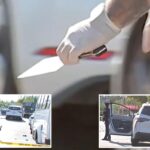 Maniac repeatedly stabs man with meat cleaver during early morning road-rage clash in Queens: sources