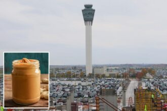 Traveler arrested at US airport smuggling live grenade in peanut butter jar: TSA