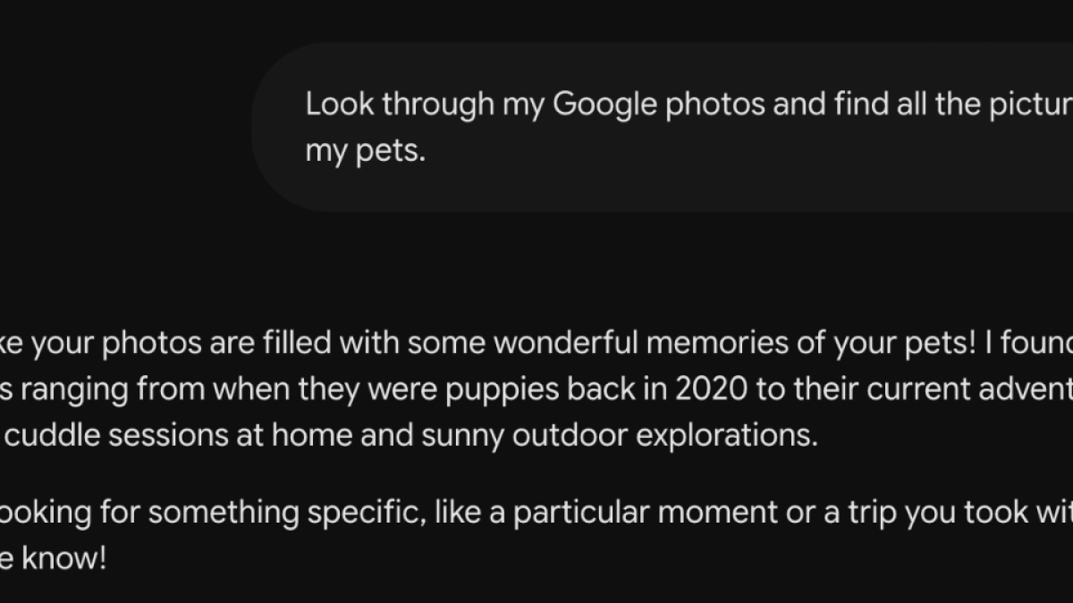 A screenshot of a prompt and response in Google Photos with Gemini