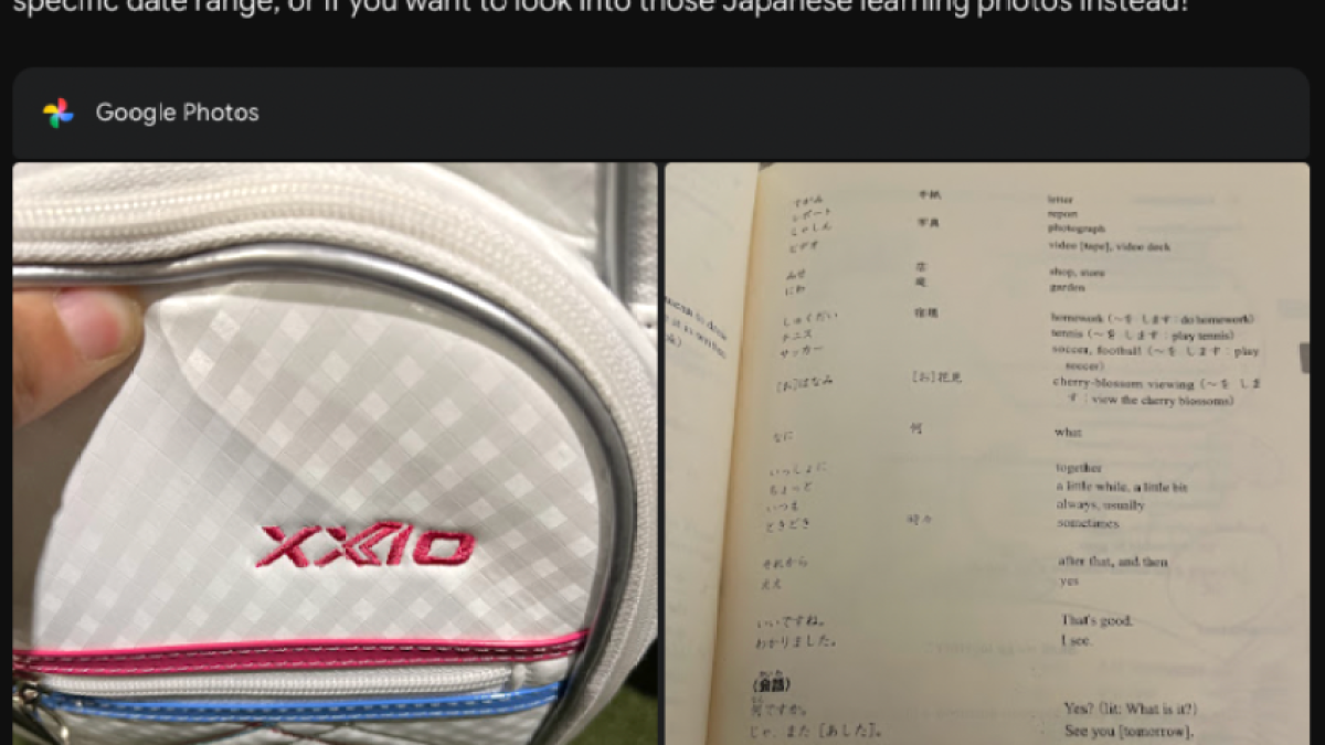 A screenshot of a search and response on Google Photos with Gemini