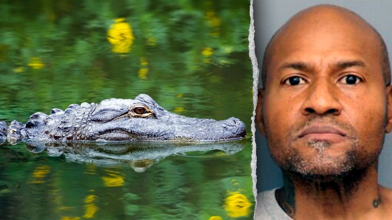 Officers in Maryland respond to reported assault, discover guns and unusual group of animals