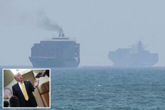 Trump predicts US will become ‘guardian angel’ of Strait of Hormuz passage: ‘We’re taking over’