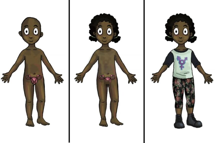 Taxpayer-funded trans dolls — with removable genitalia — to hit classrooms this fall for kids as young as 4