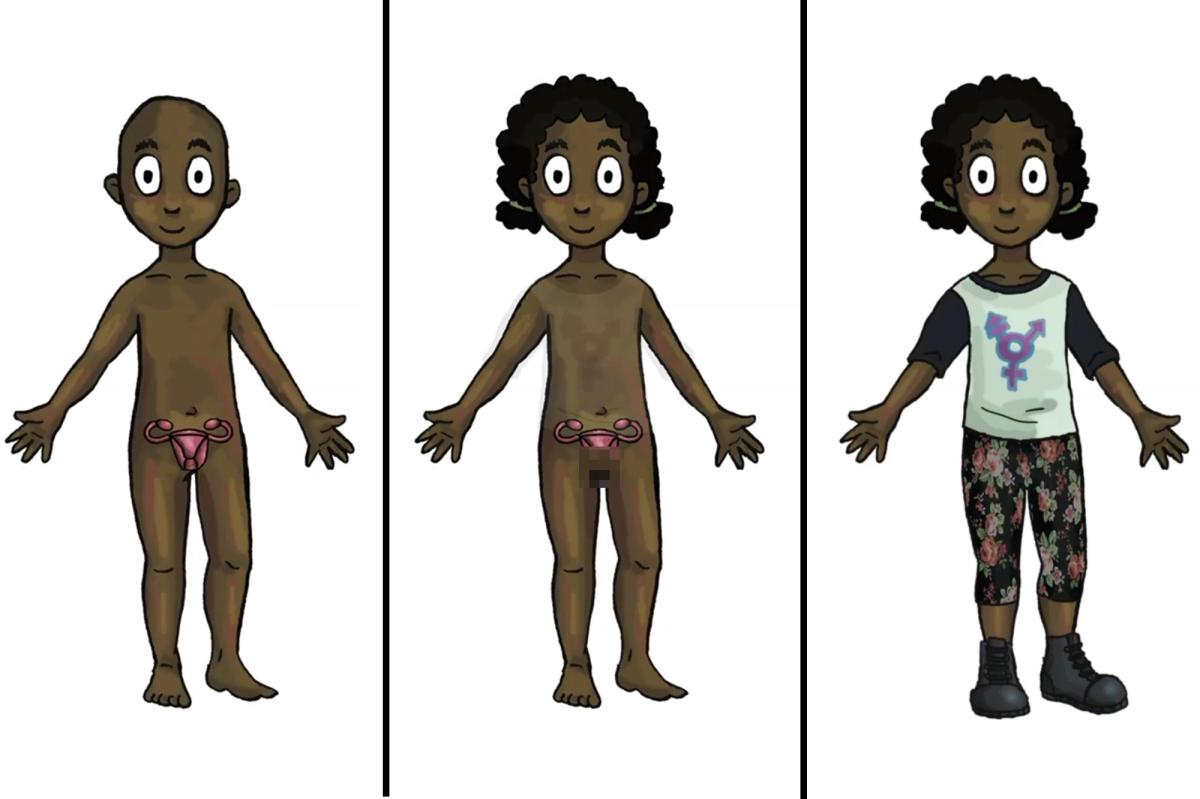 Taxpayer-funded trans dolls — with removable genitalia — to hit classrooms this fall for kids as young as 4
