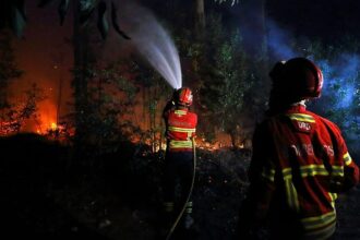 Over 2,000 emergency personnel tackle wildfires in Portugal