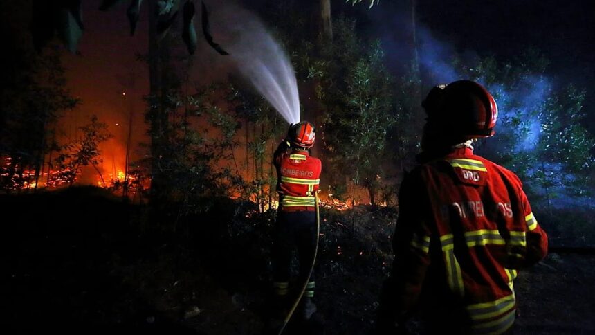 Over 2,000 emergency personnel tackle wildfires in Portugal