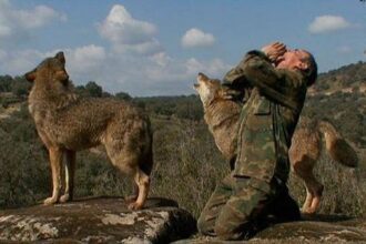 Raised in the wild: Spain’s famous “wolf boy” dies