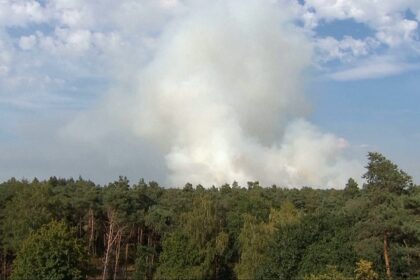Forest fire spreads in southern Netherlands nature reserve