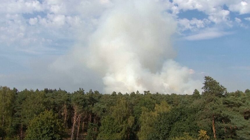 Forest fire spreads in southern Netherlands nature reserve