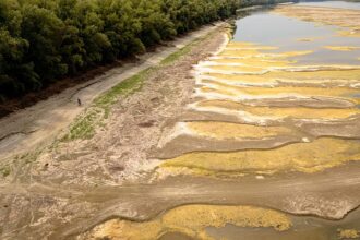Fossils and a shipwreck unveiled along Danube following drought